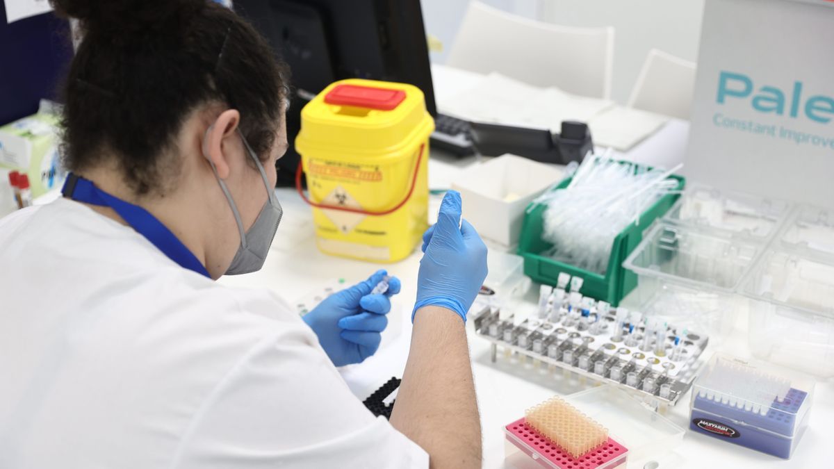 Una técnico de laboratorio realiza varias pruebas PCR para la detección de viruela del mono.