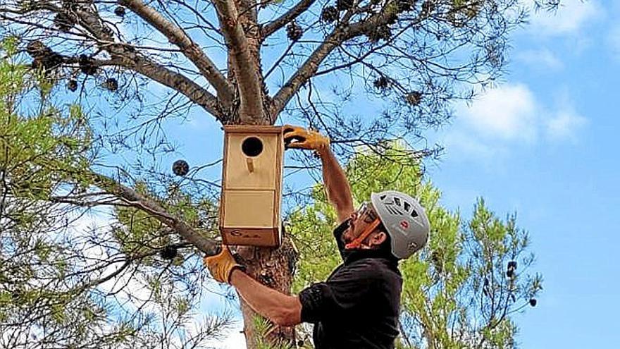 Momento de colocación de una de las cajas.