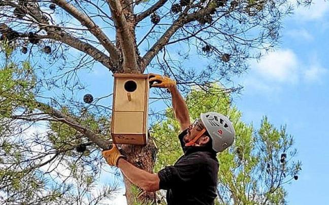 Momento de colocación de una de las cajas. Momento de colocación de una de las cajas.