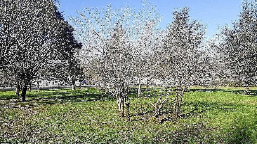 Parcela en la que se construirán el campo de fútbol y rugby y las pistas de atletismo.