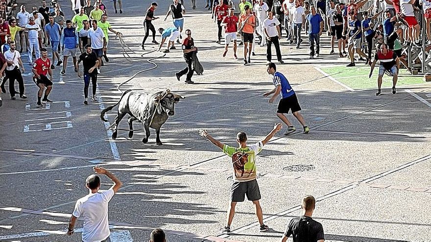 El toro de tarde, ‘Campanero’, en el momento de la salida desde el cajón de costumbre.