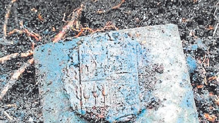 Hebilla y mandíbula. | FOTO: M. SARAVIA