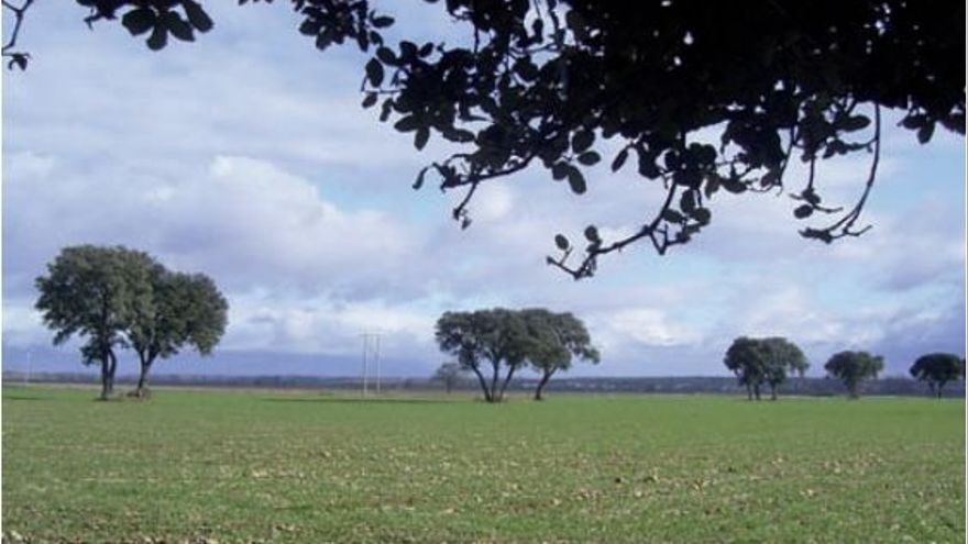 La vía verde, entre Santo Domingo de la Calzada y Casalarreina a su paso por Bañares.
