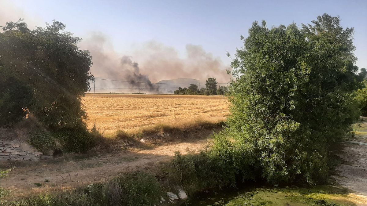 Estado de la humareda del incendio de Mendoza.