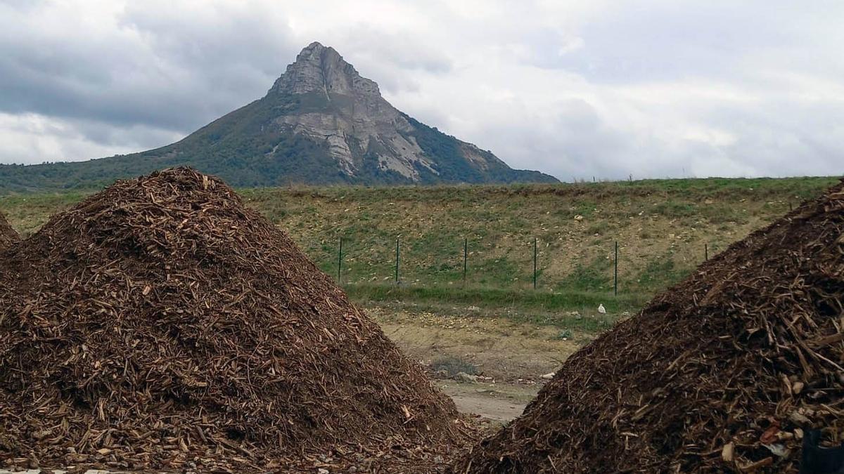 La materia orgánica en la fase de maduración.