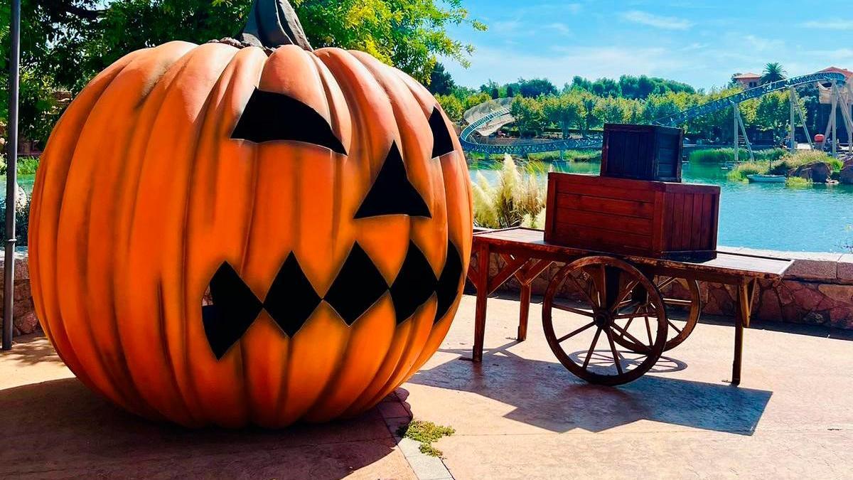 Las calabazas invitan a adentrarse en un mundo donde la imaginación se desborda