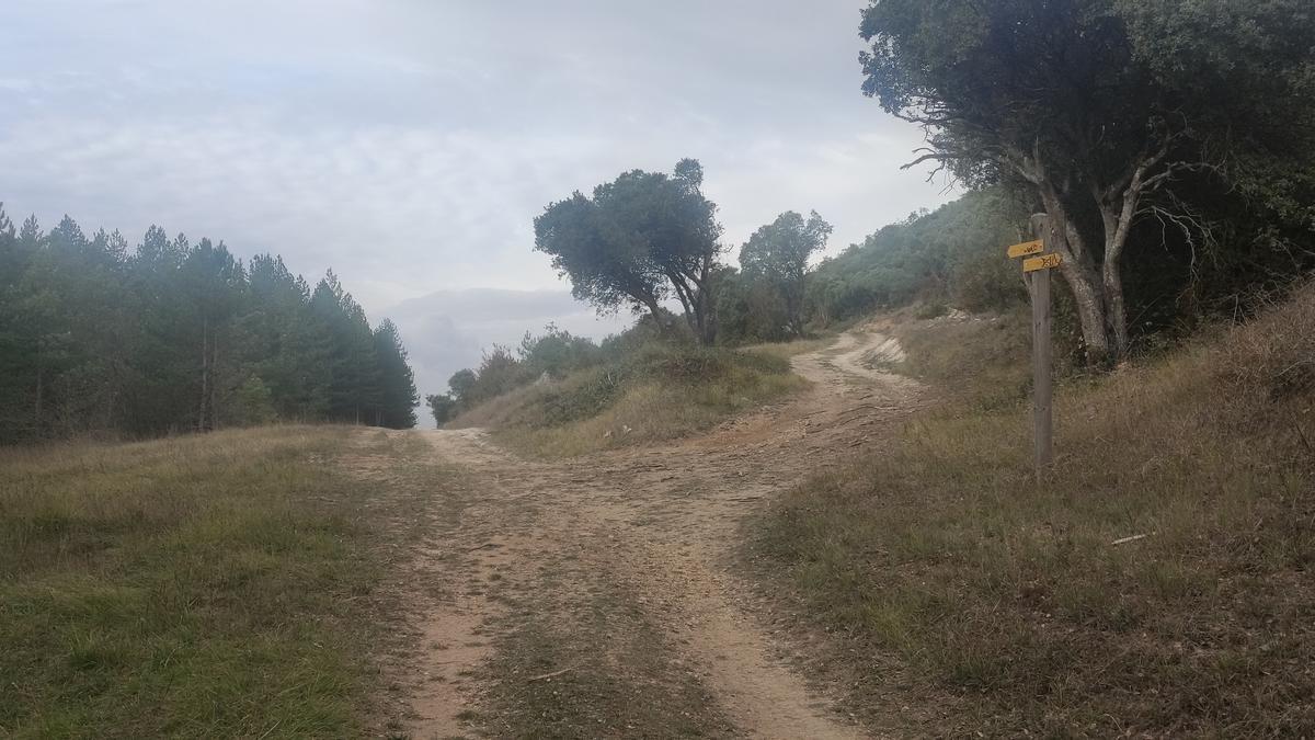 La pista empieza a descender