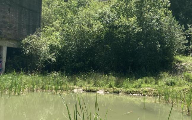 Klima-aldaketaren eta biodeibertsitatearen galeraren ondorioak arintzeko neurriak hartu ditu Bilbok.