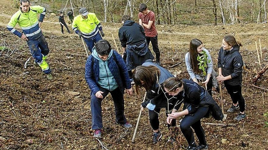 Escolares de Azkoitia plantando árboles en Munoaundi. | FOTO: N.G.