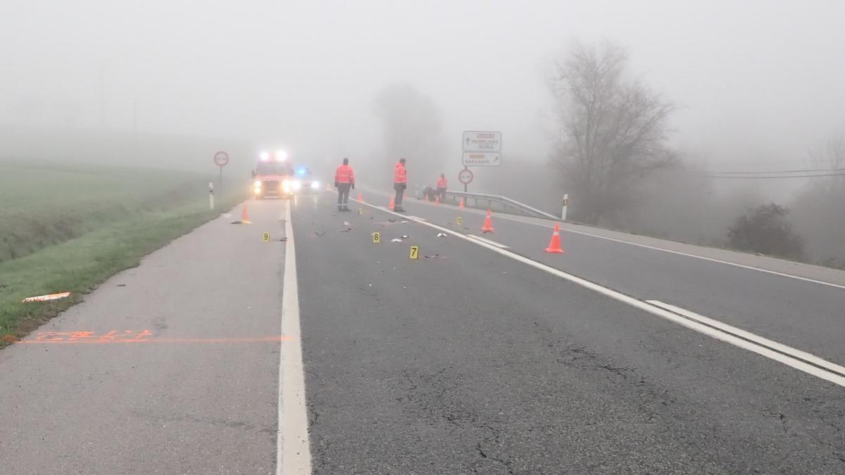 Agentes de Policía Foral, en el lugar del accidente mortal a la altura de Gulina.