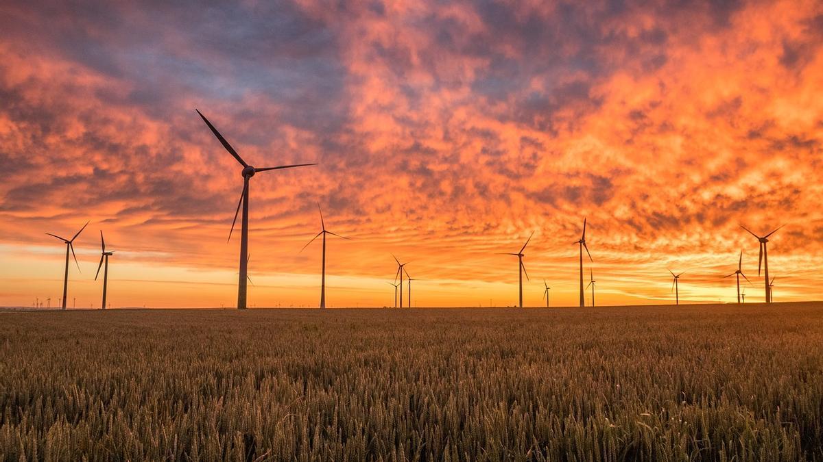 Molinos de viento.