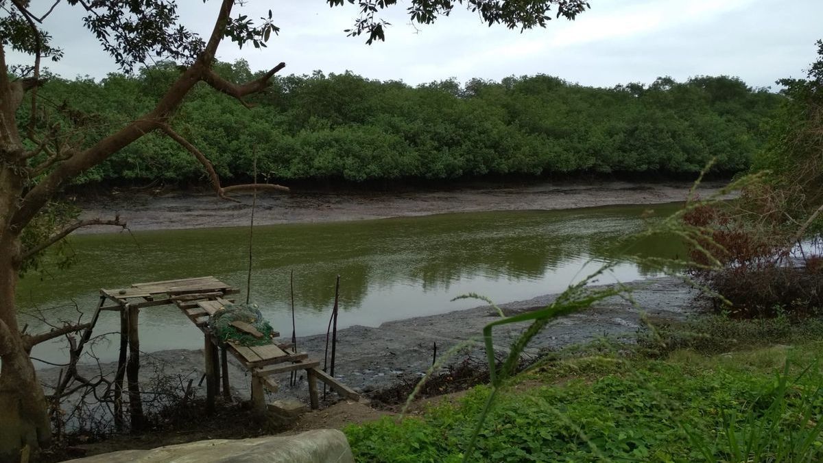 El puerto de La Bonilla (Cojimíes)