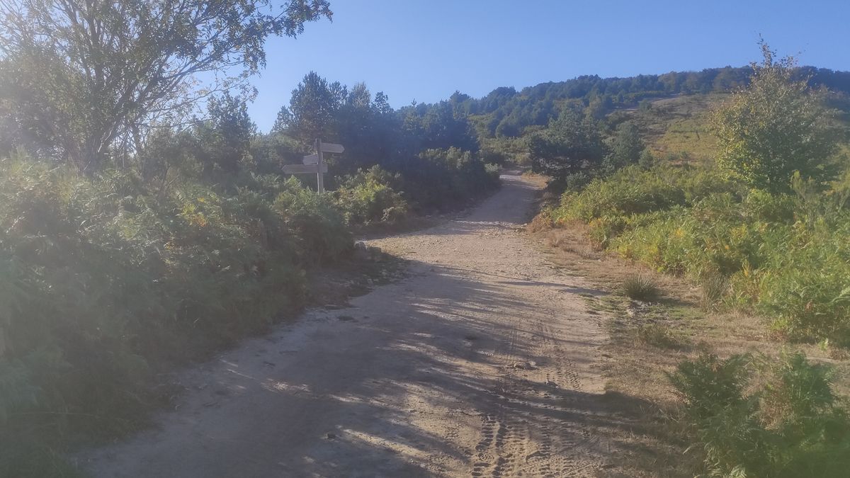 Tercer poste de madera / Cruce con camino de Zarate