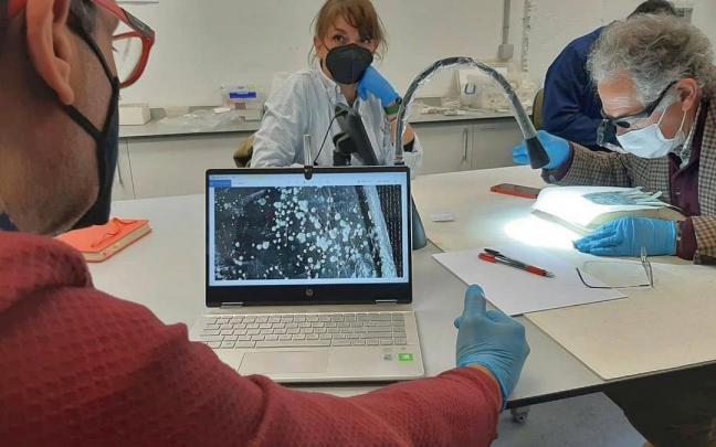 Carmen Usúa, en el centro, observa un análisis de la Mano de Irulegi.