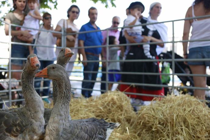 Feria de Santiago en Vitoria antes de la pandemia.