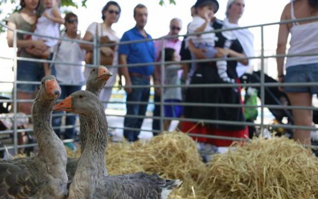 Feria de Santiago en Vitoria antes de la pandemia.