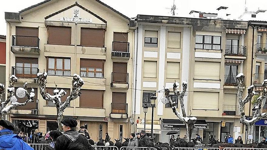 Los burros serán los grandes protagonistas de la jornada. | FOTO: N.G.