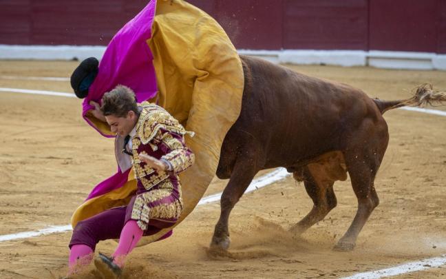 Un novillero en el festejo taurino de la feria de Murcia Un novillero en el festejo taurino de la feria de Murcia