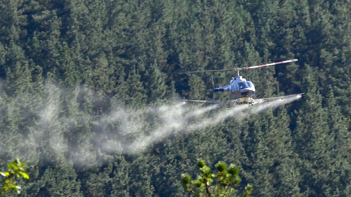 Imagen de archivo de un helicóptero fumigando pinares en Euskadi para acabar con una plaga de procesionaria