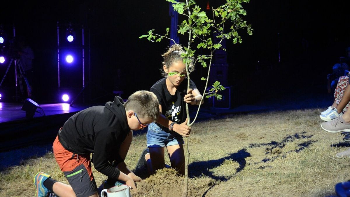 Gernika gogoan haritz kimu bat landatu zuten.