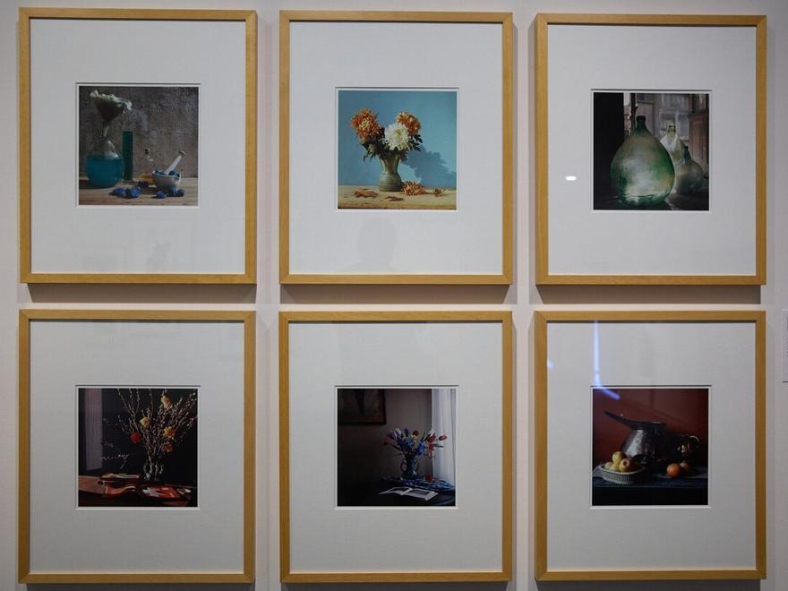 La exposición incluye imágenes a color de naturalezas muertas.