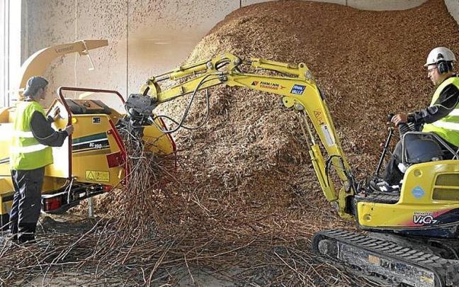 Proyecto para utilizar como pellet los restos de la poda de las viñas.