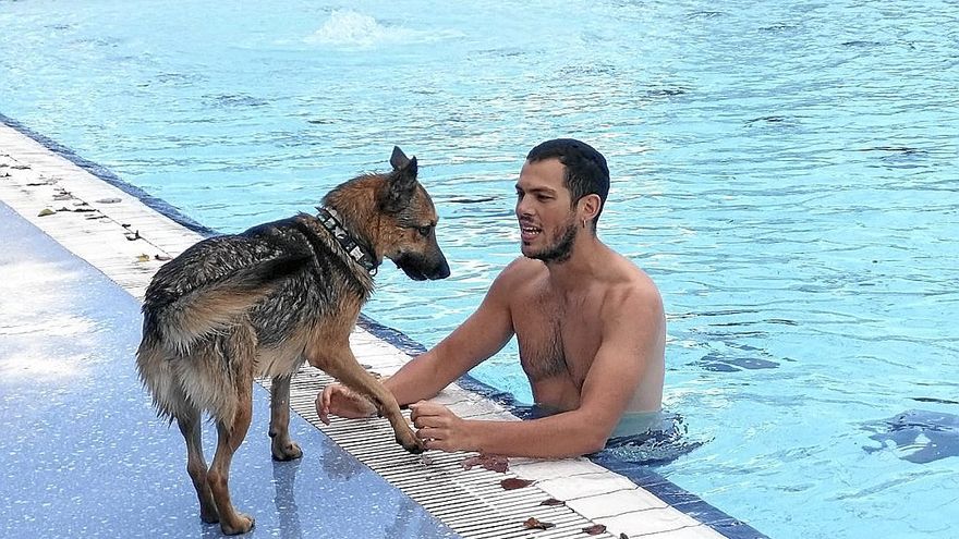 ¡Perros al agua!, en las piscinas de Agurain