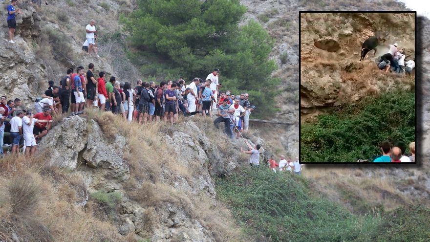 Vaca y espectadores se despeñan en el tercer encierro del Pilón