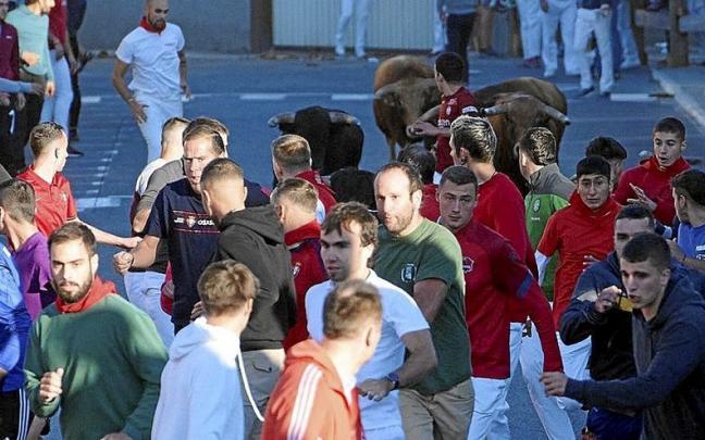 Penúltimo encierro de las fiestas limpio y veloz Penúltimo encierro de las fiestas limpio y veloz