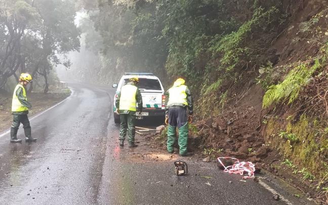 Dos operarios retiran ramas de la calzada Dos operarios retiran ramas de la calzada