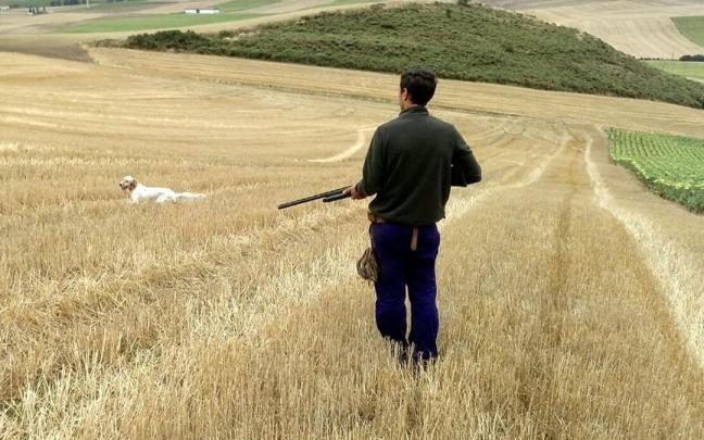 Cazador sobre una parcela de cereal busca de una pieza, ajeno a la informaci&oacute;n