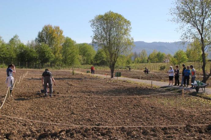 El Gobierno vasco aboga por aumentar la superficie dedicada a agricultura ecológica.