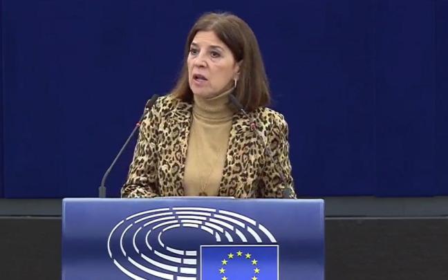 Izaskun Bilbao interviene en la Eurocámara. Izaskun Bilbao interviene en la Eurocámara.