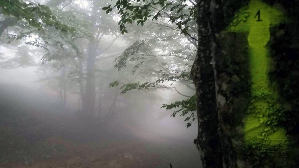 Señalización del Camino de Santiago en el Collado de Lepoeder