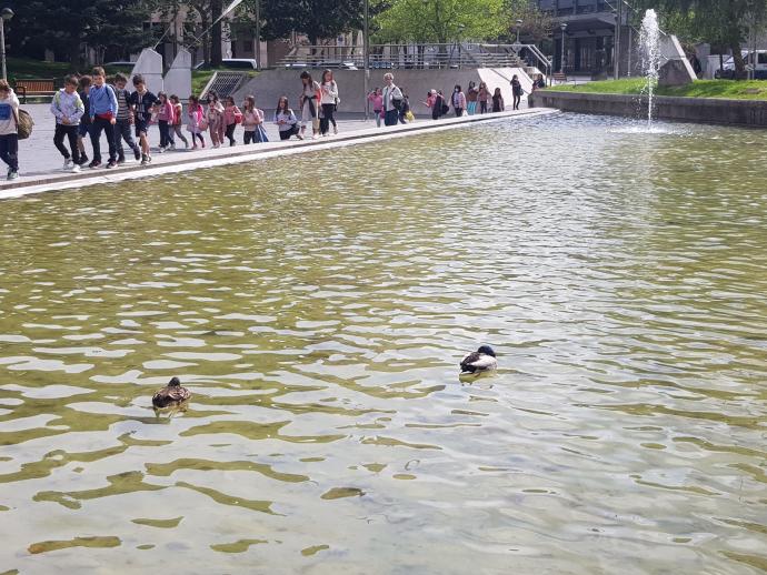 Un grupo de niños observa a los patos en el estanque de Jose María Sert