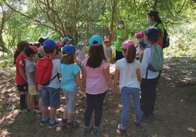 Un grupo de alumnos de Zipiriñe escucha las primeras indicaciones del paseo pedagógico por el bosque.