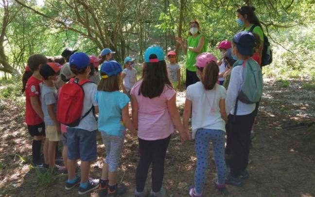 Un grupo de alumnos de Zipiriñe escucha las primeras indicaciones del paseo pedagógico por el bosque.