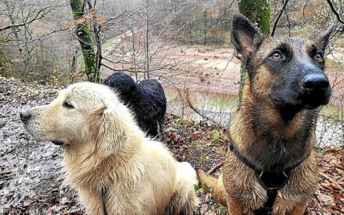 El curso se llevará a cabo entre los meses de mayo y junio. Foto: N.G.