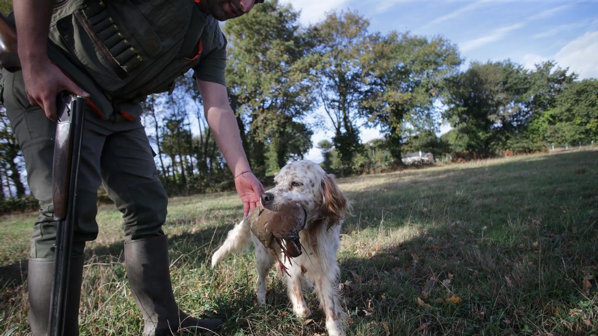 El PSOE insiste en excluir a los perros de caza de la misma.