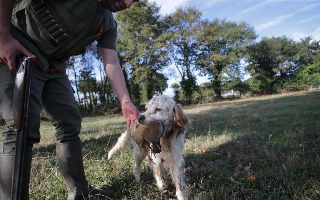 El PSOE insiste en excluir a los perros de caza de la misma.