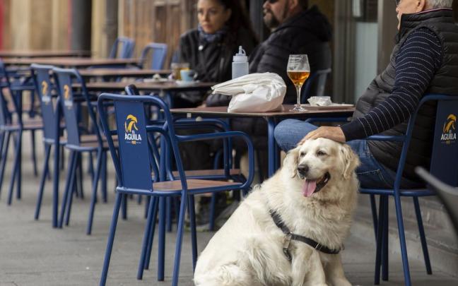 Un perro con su amo en una terraza. Un perro con su amo en una terraza.