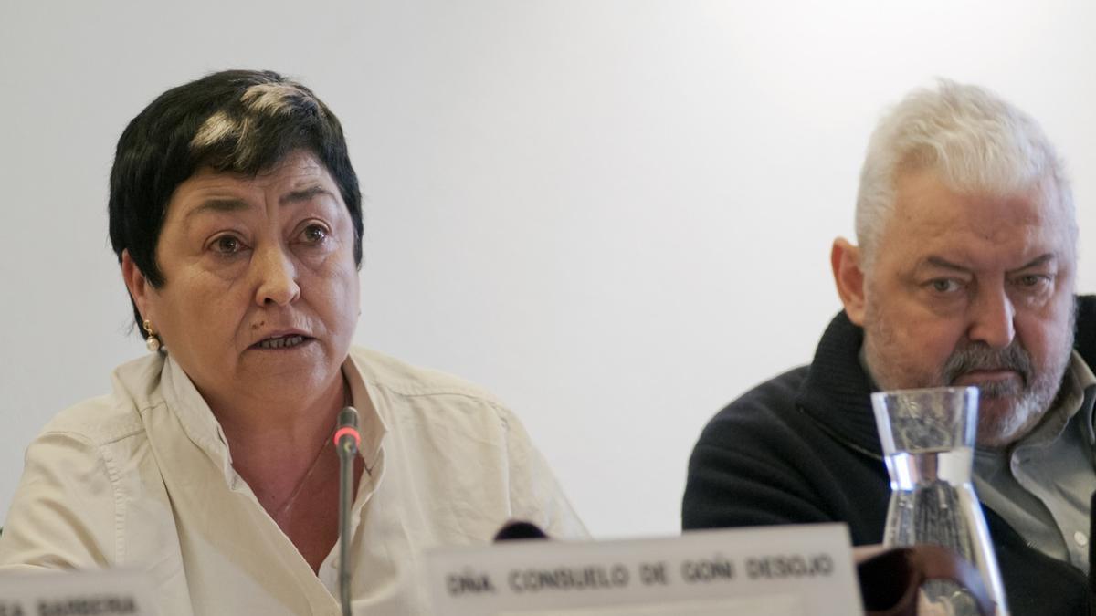 Consuelo de Go&ntilde;i