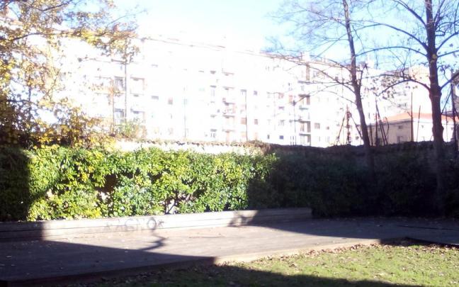 La secuoia gigante se encuentra en el centro de Vitoria.