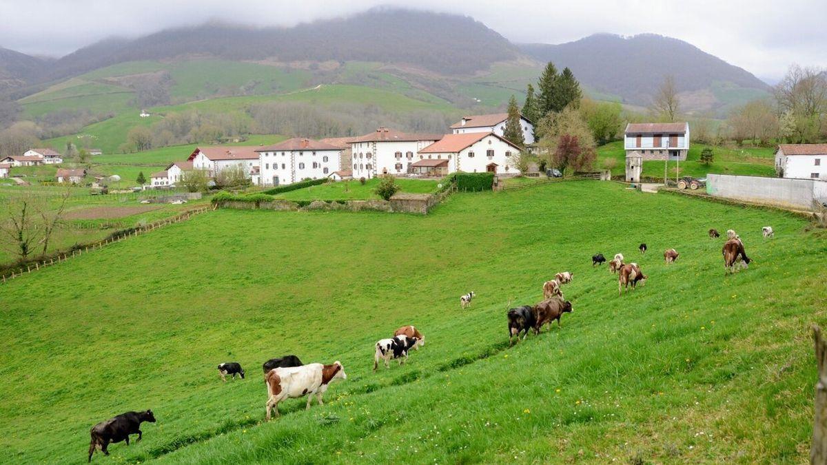 Berroeta, Almandoz eta Zigan ospatu ondotik, aurtengo Basaburua Eguna Anizen izanen da.