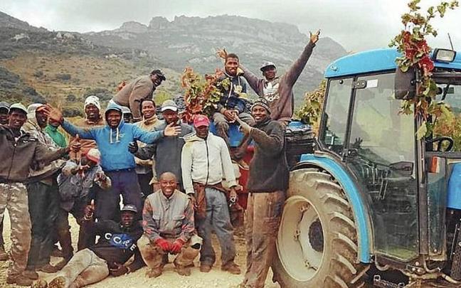 Temporeros posando junto a un tractor tras la vendimia. Temporeros posando junto a un tractor tras la vendimia.