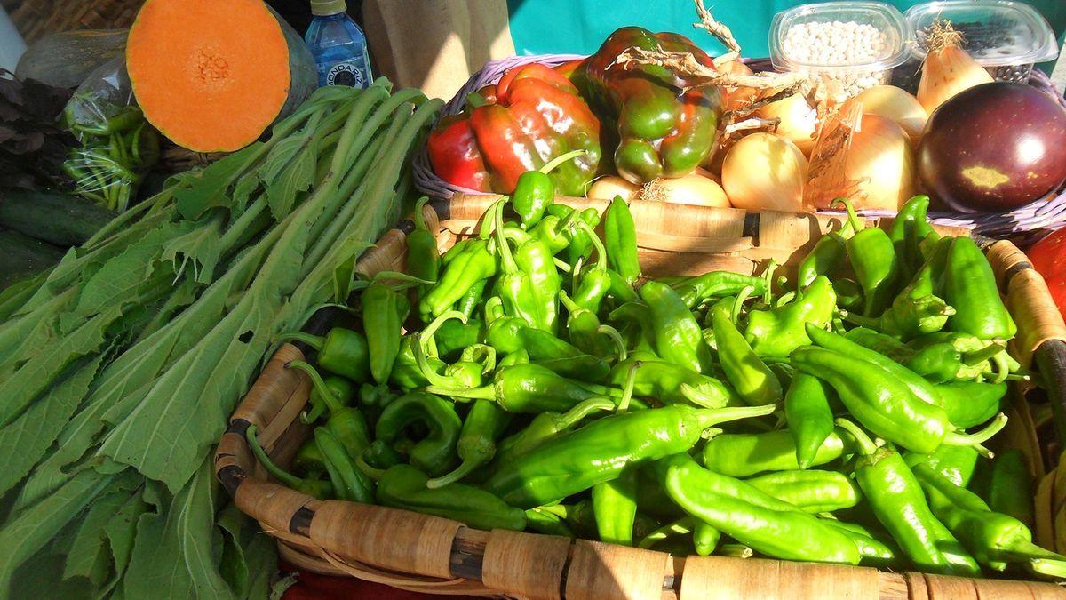 Mungia celebra el s&aacute;bado su feria ecol&oacute;gica