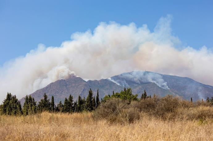 Columna de humo del incendio de Sierra Bermeja