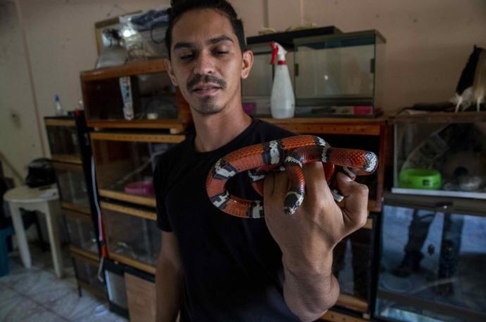José Delgadillo quiere que la gente pierda el temor a las serpientes.