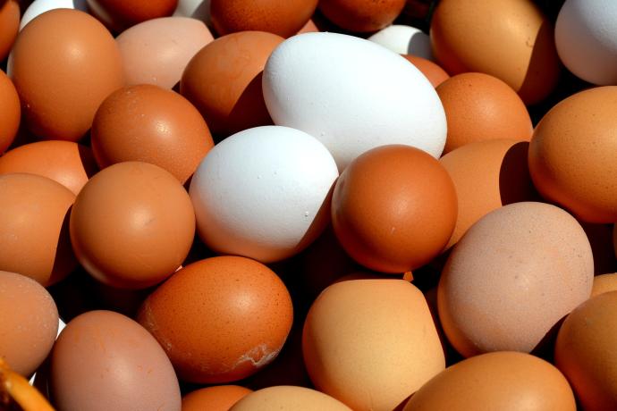 A diferentes clases de huevos corresponde distintos códigos de identificación y clasificación.