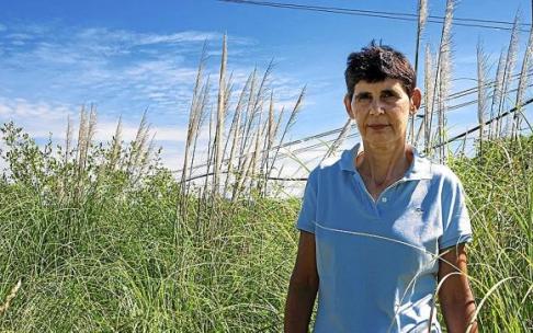 Lerro hauekin batera doan irudian, Idoia Biurrun ikertzailea. Argazkia: Utzita